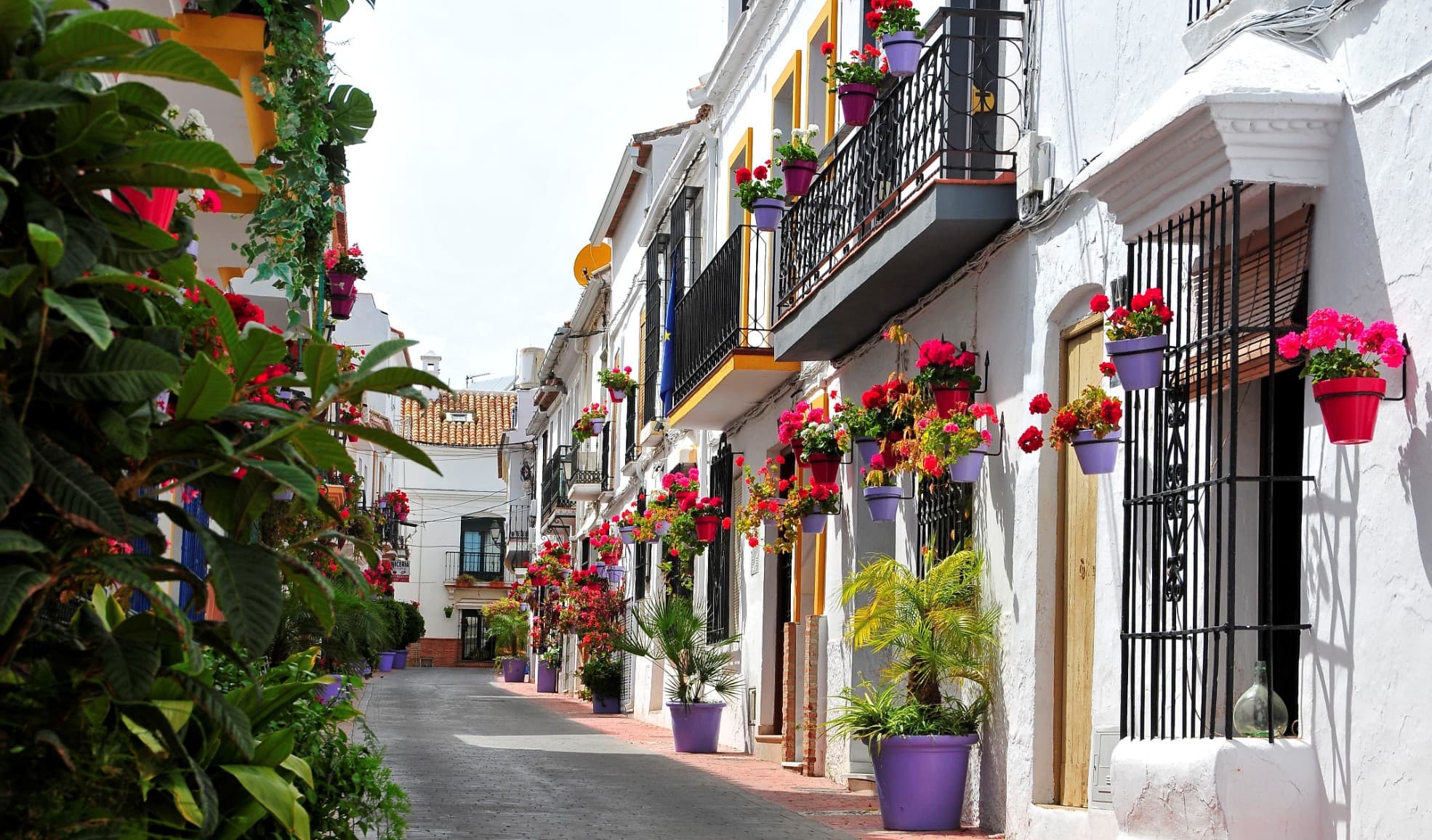Calle peatonal con flores y macetas en el casco histórico de Estepona