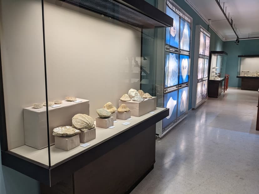 Museo Paleontológico