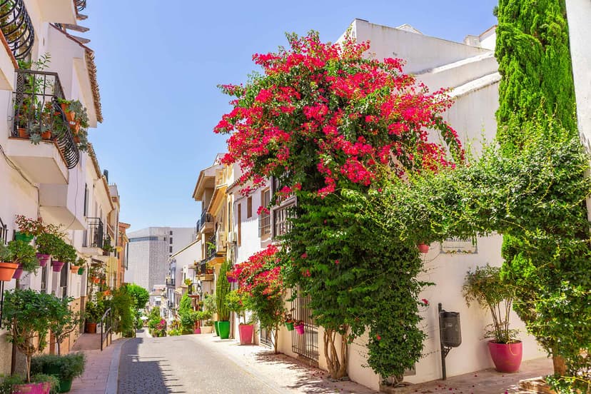 Calle florida del casco de Estepona con buganvilla rosa.