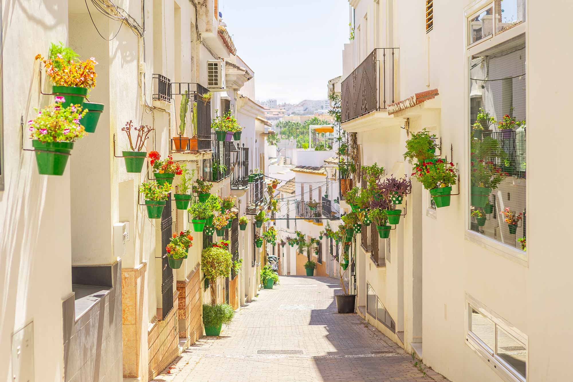 Calle con macetas verdes en el casco histórico de Estepona.