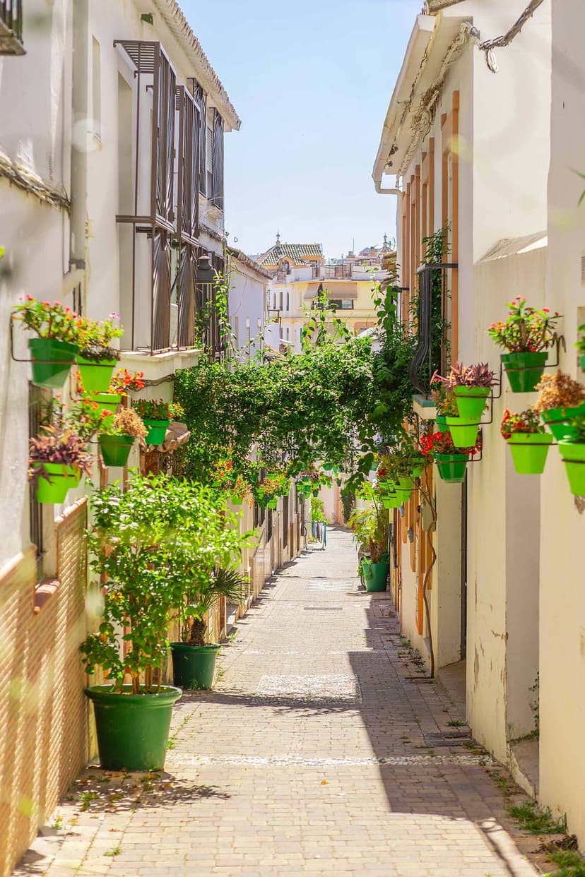 Calle del casco de Estepona con macetas verdes, perspectiva vertical.