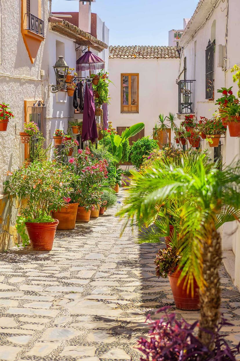 Callejuela estrecha del casco de Estepona con palmera, macetas y adoquín.