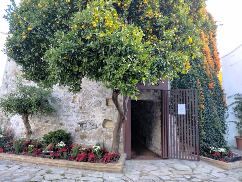 Entrada al recinto arqueológico del Castillo de San Luis, junto a un naranjo, en el casco histórico de Estepona