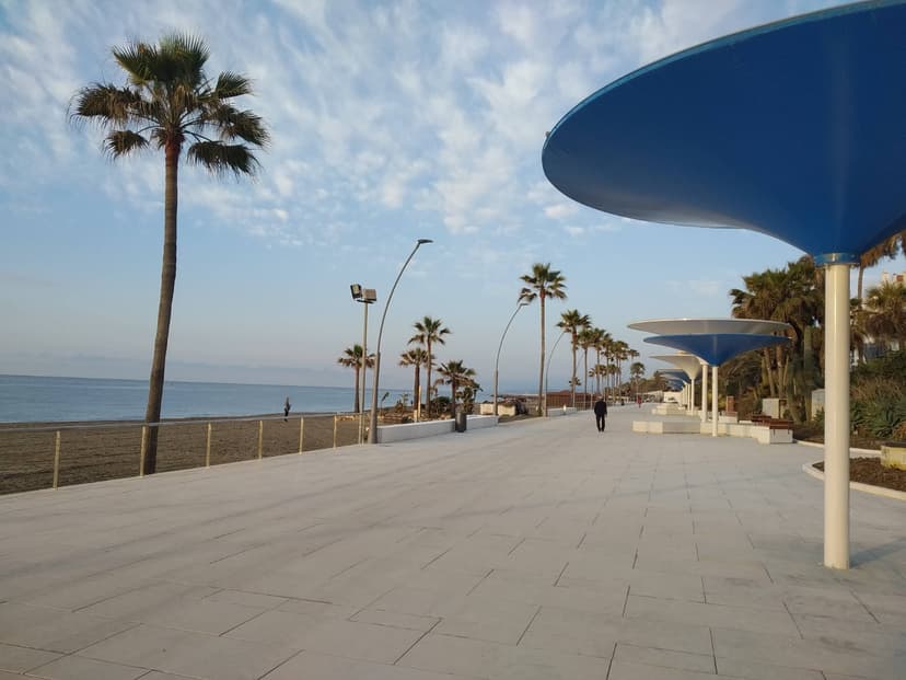 Paseo Marítimo de Estepona con palmeras