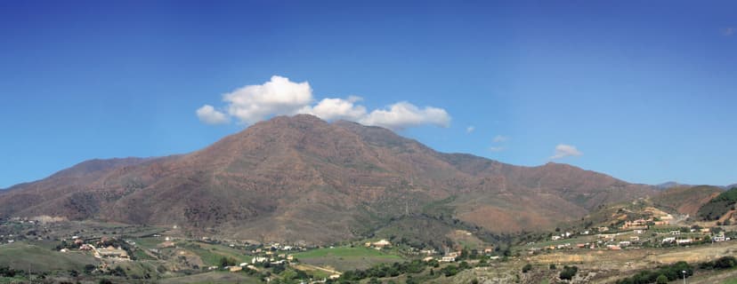 Sierra Bermeja desde Estepona — bosque y paisaje mediterráneo