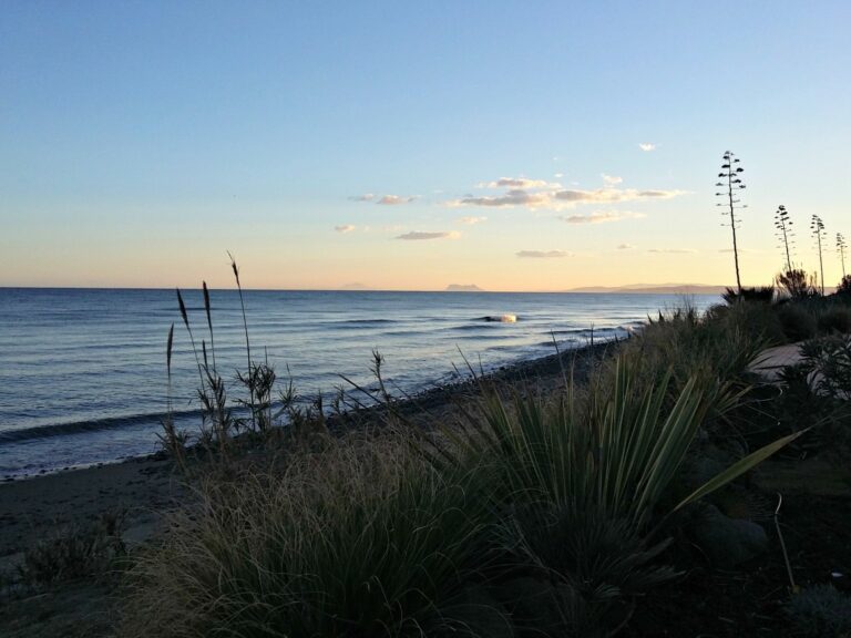 Playa de Punta Pinillos — costa junto al pinar en el litoral este